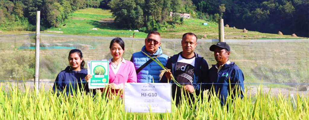 Sichuan Hejia Seed Co., Ltd