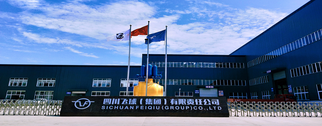 Sichuan Feiqiu Group Co., Ltd